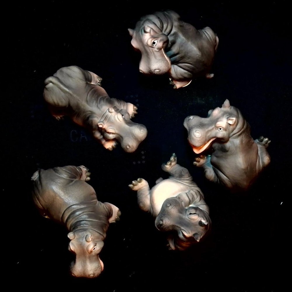 Set of 5 adorable hippos